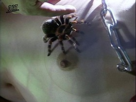 鎖がれた令嬢禁断のカタルシス＋乱らんまい舞’98-2　サンプル画像01